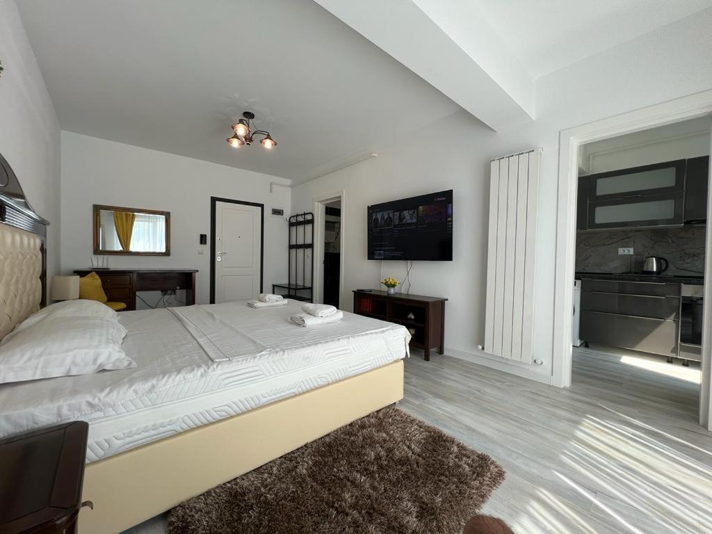 Urban Apartments And Studios - City Center Iasi Exterior foto